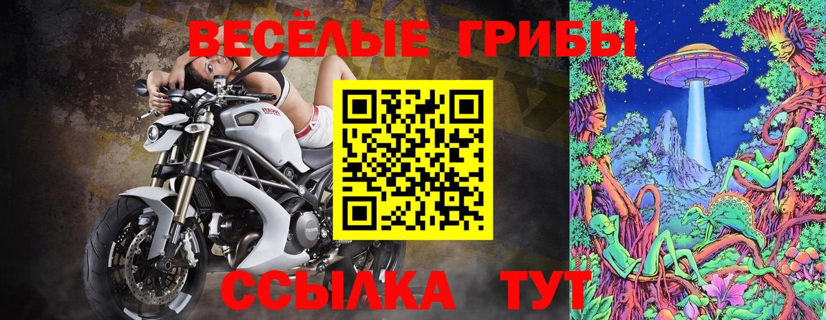 Галлюциногенные грибы GOLDEN TEACHER Минусинск